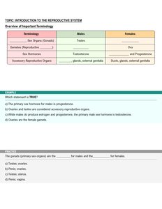 Overview of important reproductive terminology