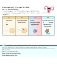 Main functions of the reproductive system
