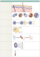 Overview of the body's innate defenses