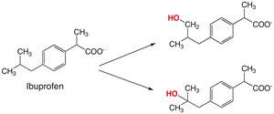Aliphatic oxidation positions (w and w-1)