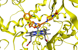CYP enzyme with different substrate