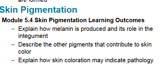 Skin Pigmentation Learning Outcomes slide