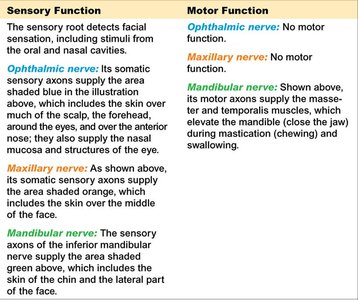 Trigeminal nerve sensory and motor function table