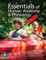 Essentials of Human Anatomy & Physiology textbook cover