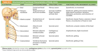 Table of structural and functional characteristics of body joints (part 1)