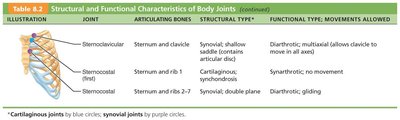 Table of structural and functional characteristics of body joints (part 2)