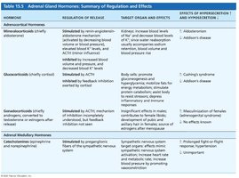 Adrenal Gland Hormones: Summary of Regulation and Effects