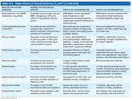 Major Effects of Thyroid Hormone (T4 and T3)