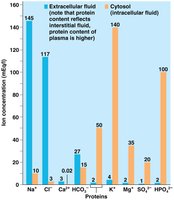 Solute composition of extracellular fluid and cytosol
