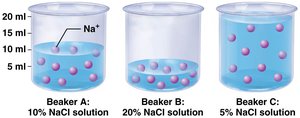 Effect of water amount on sodium ion concentration