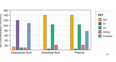 Ion concentration in body fluid compartments