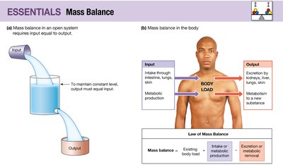 Mass balance in the body