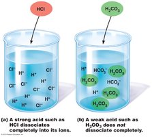 Diagram of strong vs. weak acid dissociation