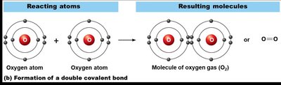 Formation of covalent bonds