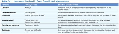 Table of hormones involved in bone growth and maintenance