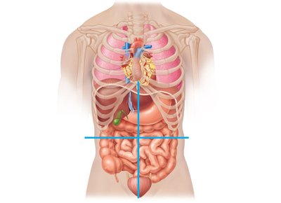 Abdominopelvic quadrants