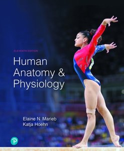Human Anatomy & Physiology textbook cover