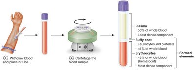 Major components of whole blood after centrifugation