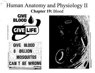 Chapter cover with blood cells and blood donation message