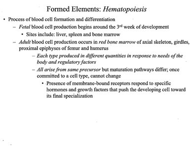 Hematopoiesis process diagram