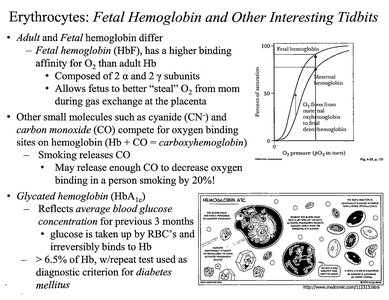 Fetal hemoglobin and HbA1c