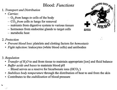Blood functions and Red Cross cartoon
