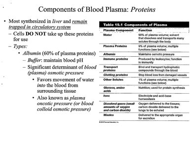 Table of plasma components and functions
