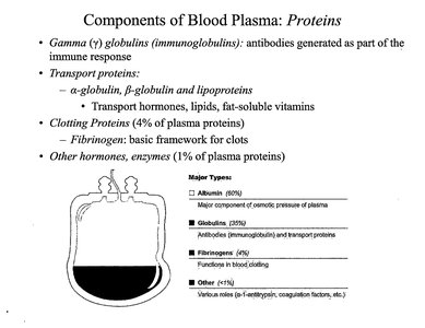 Pie chart of plasma protein types
