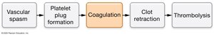 Intrinsic pathway of coagulation