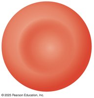 Type O blood antigen