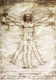 Vitruvian Man illustration representing human body proportions