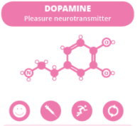 Dopamine neurotransmitter structure