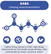 GABA neurotransmitter structure