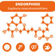 Endorphins neurotransmitter structure