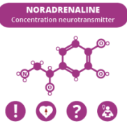 Noradrenaline neurotransmitter structure