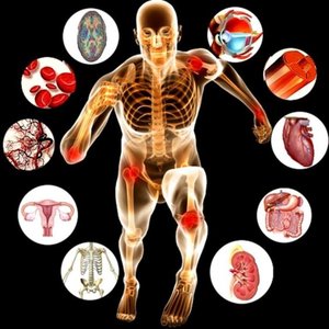 Diagram showing human body with organ systems