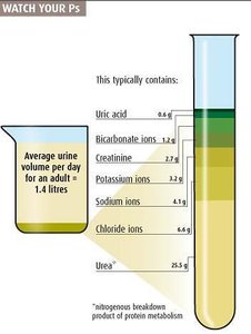 Test tube showing composition of normal urine