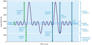 Lung volumes and capacities graph