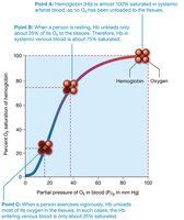 Oxygen-hemoglobin dissociation curve