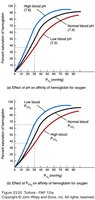 Effect of pH and CO2 on hemoglobin affinity