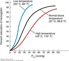 Effect of temperature on hemoglobin affinity