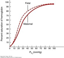 Fetal vs adult hemoglobin O2 affinity