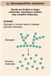 Decomposition reaction example