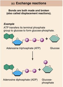 Exchange reaction example
