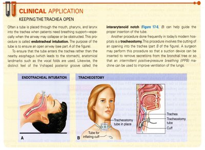 Clinical application: Endotracheal intubation and tracheostomy