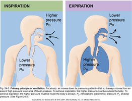 Ventilation
