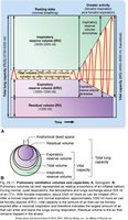 Respiratory volumes