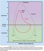 Flow volume loop