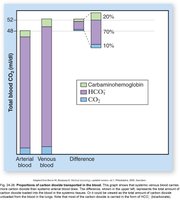 Proportions of CO2 transport mechanisms