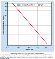 pH and ventilation
